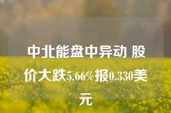 中北能盘中异动 股价大跌5.66%报0.330美元