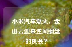 小米汽车爆火，金山云迎来逆风翻盘的机会？