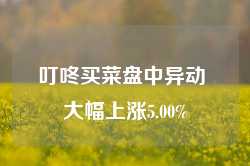 叮咚买菜盘中异动 大幅上涨5.00%