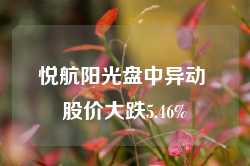 悦航阳光盘中异动 股价大跌5.46%