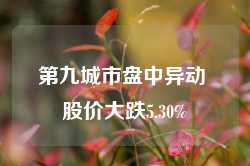 第九城市盘中异动 股价大跌5.30%