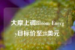 大摩上调Bloom Energy目标价至28美元