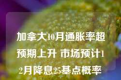 加拿大10月通胀率超预期上升 市场预计12月降息25基点概率约为60%