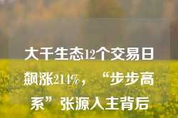 大千生态12个交易日飙涨214%，“步步高系”张源入主背后藏何资本谋划？