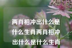 两肖相冲出什么是什么生肖两肖相冲出什么是什么生肖呢,炉石传说Pro版_25.36.98