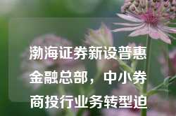 渤海证券新设普惠金融总部，中小券商投行业务转型迫在眉睫