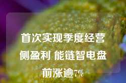 首次实现季度经营侧盈利 能链智电盘前涨逾7%