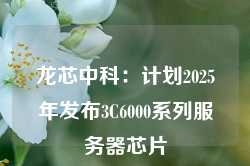 龙芯中科：计划2025年发布3C6000系列服务器芯片