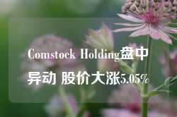 Comstock Holding盘中异动 股价大涨5.05%