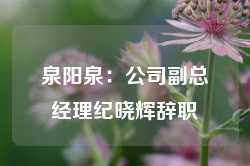 泉阳泉：公司副总经理纪晓辉辞职