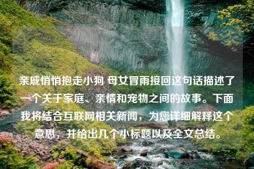 亲戚悄悄抱走小狗 母女冒雨接回这句话描述了一个关于家庭、亲情和宠物之间的故事。下面我将结合互联网相关新闻，为您详细解释这个意思，并给出几个小标题以及全文总结。