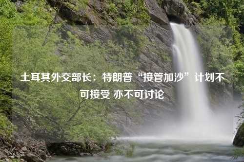 土耳其外交部长：特朗普“接管加沙”计划不可接受 亦不可讨论